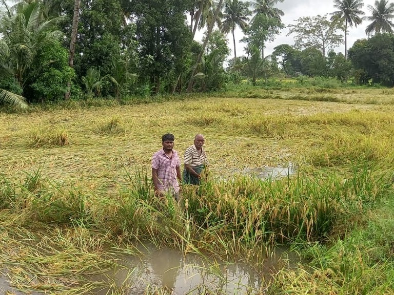 సారవకోటలో నీటి ముంపులో 2000 ఎకరాలు