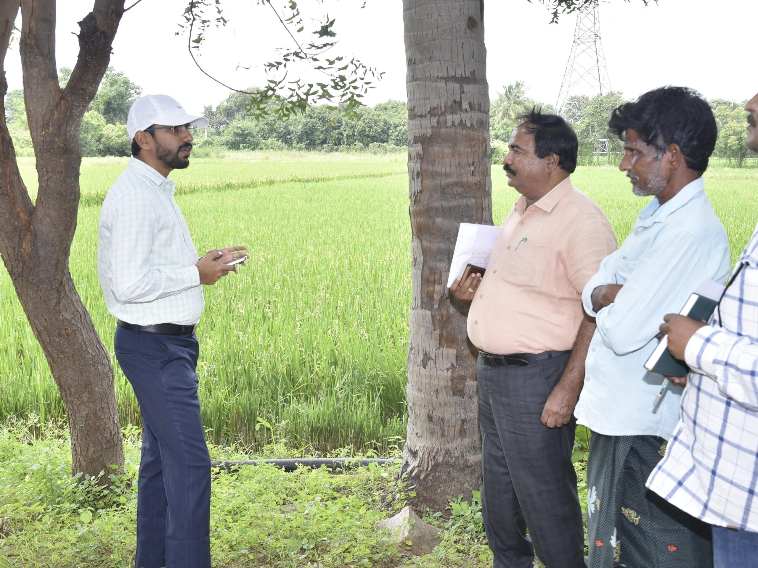 ఈ క్రాప్ బుకింగ్ తనిఖీ చేసిన కలెక్టర్