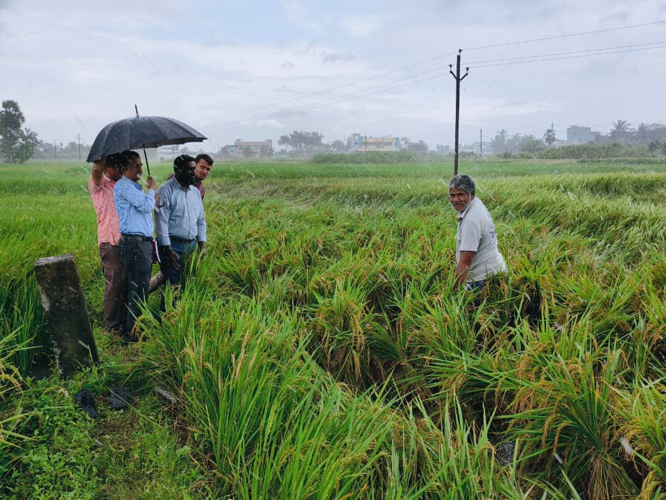 జిల్లాలో 2025 హెక్టార్లలో పంటకు నష్టం: జేడీ