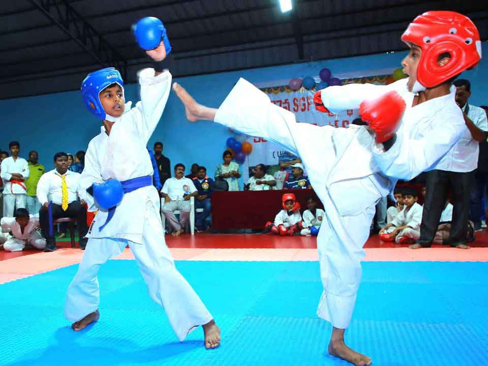 నవంబర్ 3న జోనల్ స్థాయి బాలబాలికల కరాటే పోటీలు