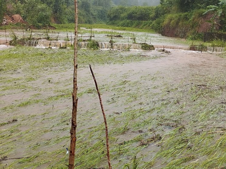 ‘నష్టపోయిన రైతును ప్రభుత్వం ఆదుకోవాలి’