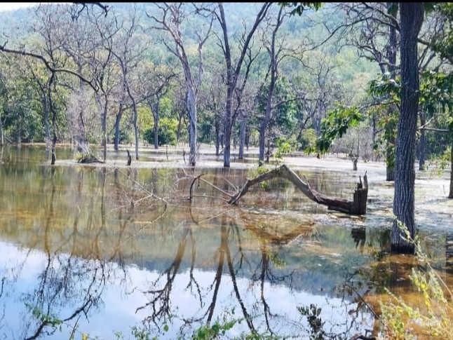 ఆకట్టుకుంటున్న పర్యాటక ప్రాంతాలు
