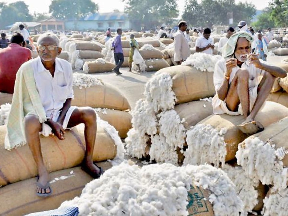 పత్తి కొనుగోళ్లు నిలిపివేత