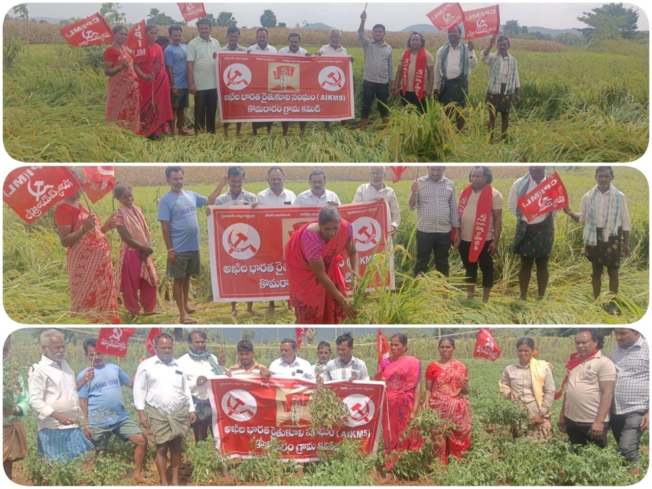 ‘పత్తి రైతులను ప్రభుత్వం వెంటనే ఆదుకోవాలి’