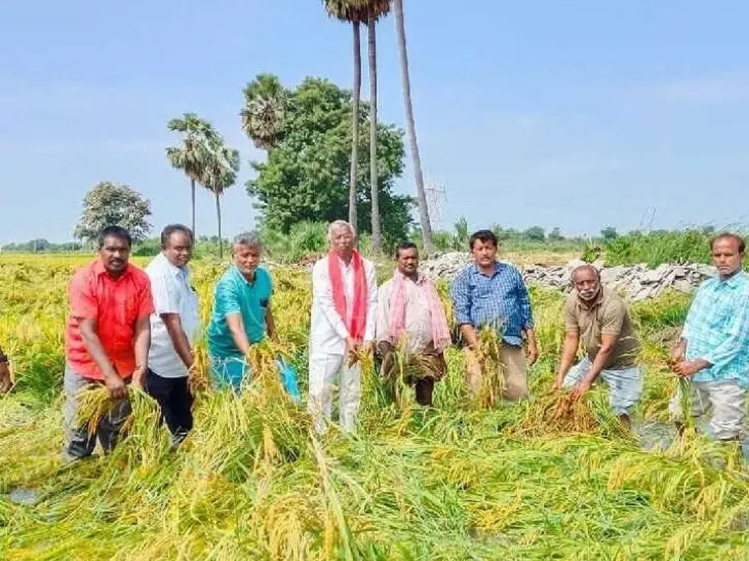 పొలాలను పరిశీలించిన సీపీఎం బృందం