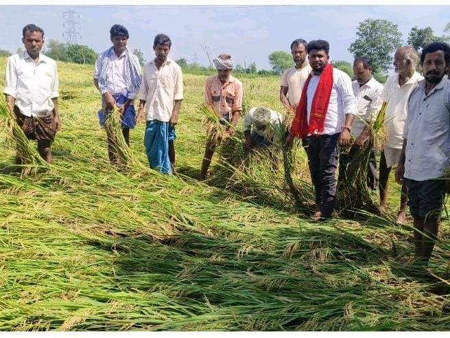 నీట మునిగిన పంటలను పరిశీలించిన CPI(M) నేతలు