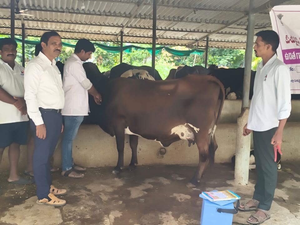 ఉచిత వ్యాక్సినేషన్ పరిశీలించిన జిల్లా అధికారి