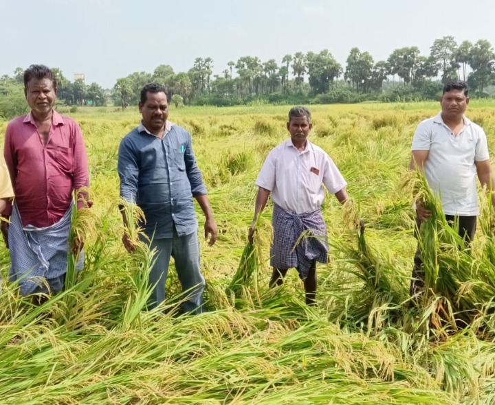 ‘రైతులకు నష్ట పరిహారం చెల్లించాలి’