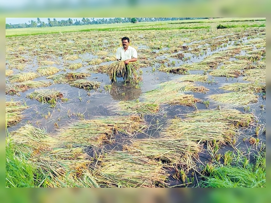 భారీ వరద.. 5 లక్షల ఎకరాల్లో పంట నష్టం