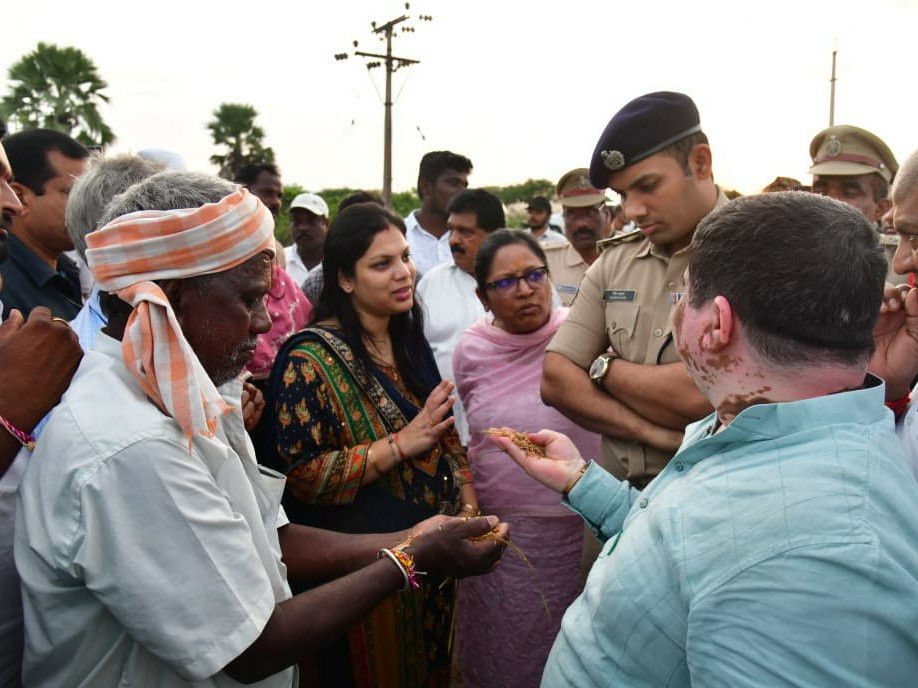 తడిసిన ధాన్యాన్ని పరిశీలించిన మంత్రి