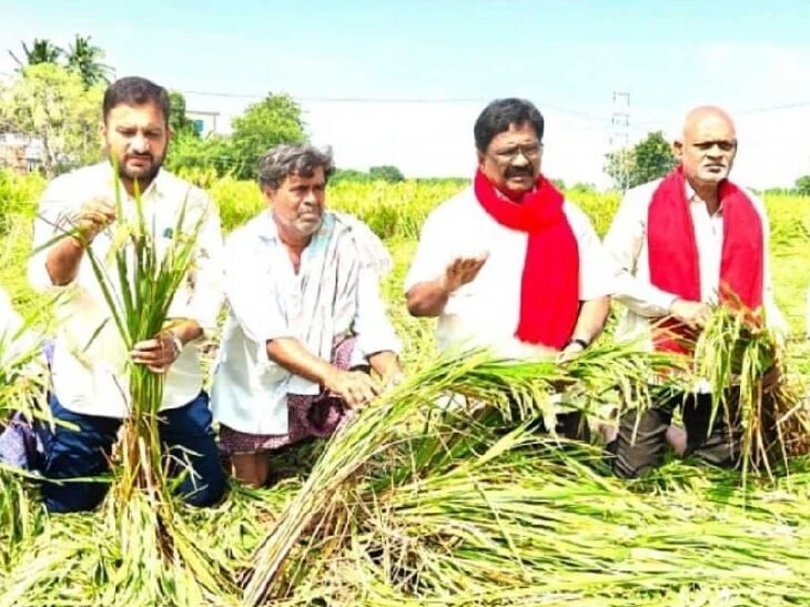 ‘బాధిత రైతులకు వెంటనే పరిహారం ఇవ్వాలి’