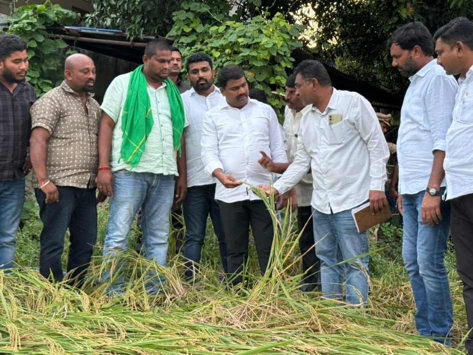 తడిసిన ధాన్యాన్ని  పరిశీలించిన ఎమ్మెల్యే