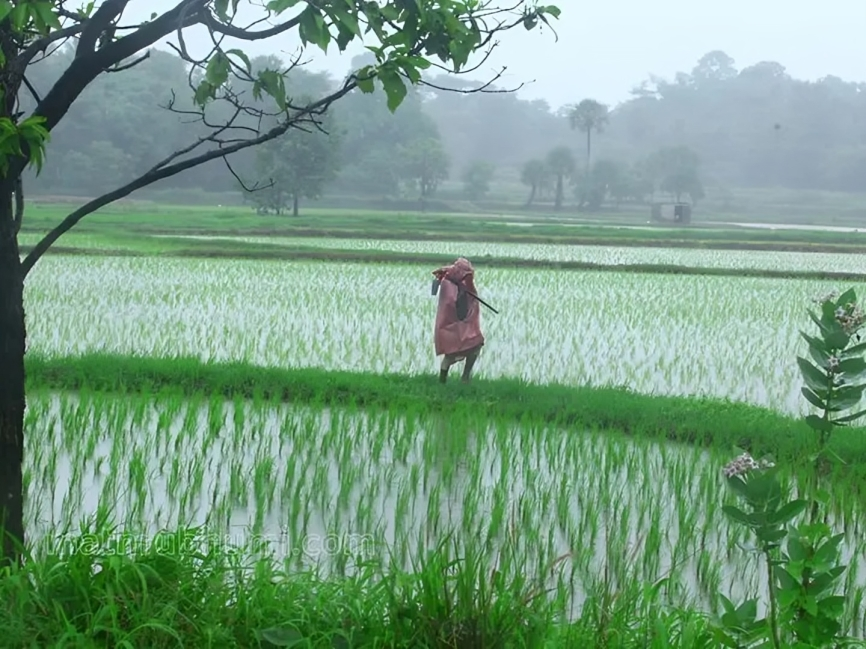 రాష్ట్రంలో వర్షాలు ఆగేది ఎప్పుడంటే?