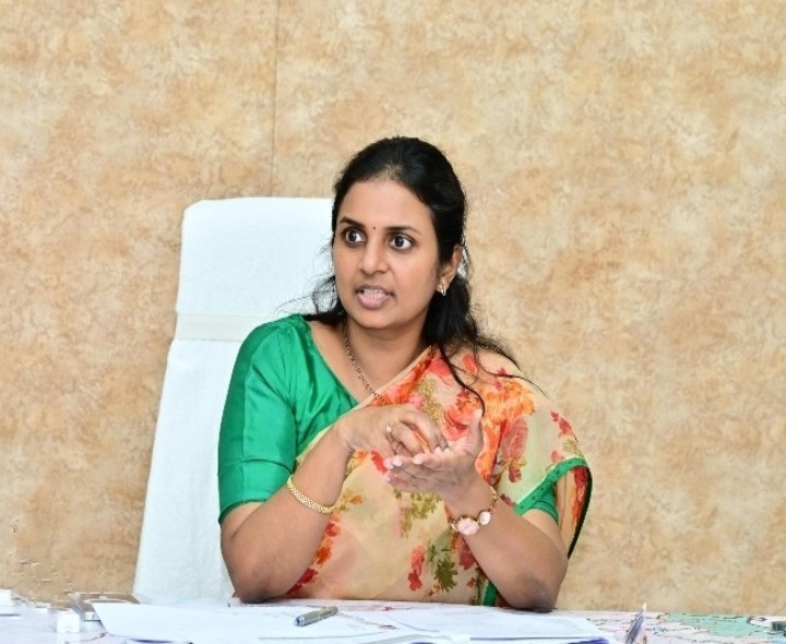 ఉద్యాన పంటల విస్తీర్ణం పెంచాలి: కలెక్టర్