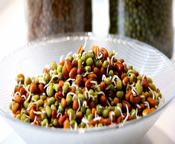 మొలకెత్తిన గింజలు తింటే లాభాలు