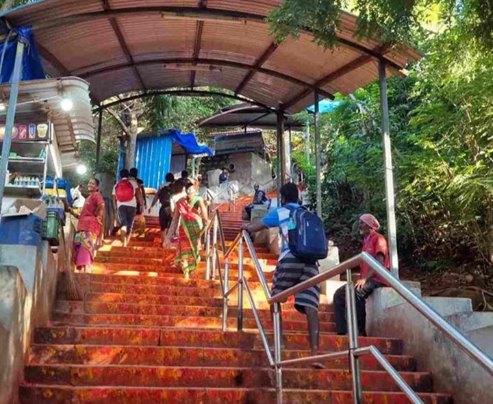 శ్రీవారి మెట్ల మార్గంలో చిరుత హల్‌చల్