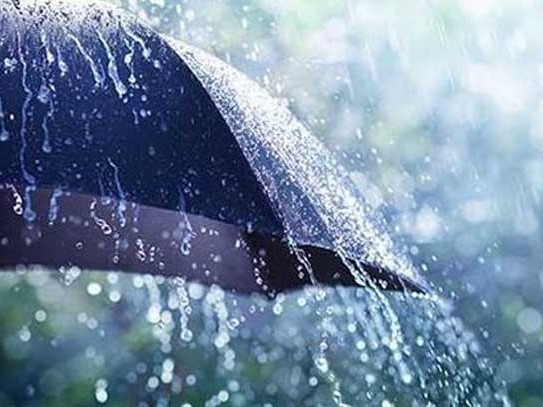 ఆసిఫాబాద్ జిల్లాలో 44.8MM వర్షపాతం