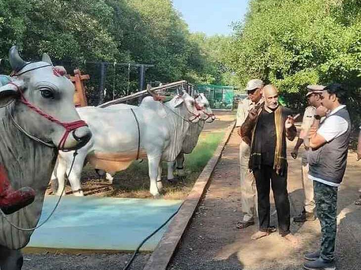 కోరంగి మడ అడవులను పరిశీలించిన DFO