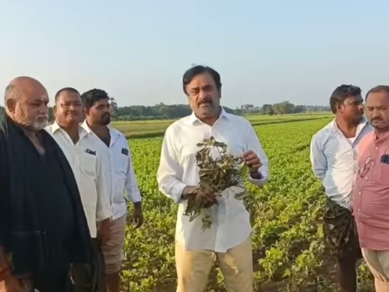 ఇన్సూరెన్స్ చేయకపోవడం వల్లే రైతులు నష్టపోయారు