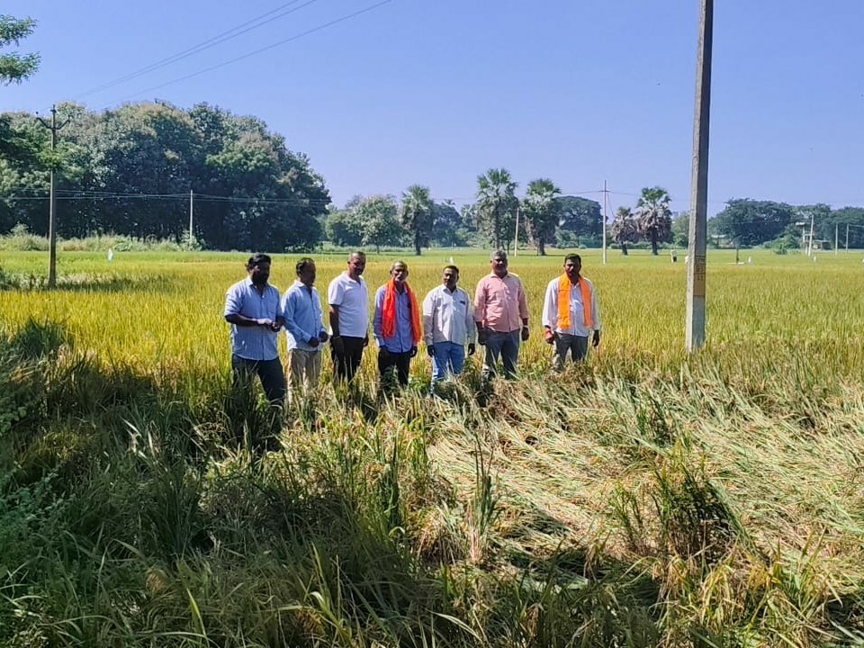 ‘రైతులకు ప్రభుత్వం నష్టపరిహారం చెల్లించాలి’
