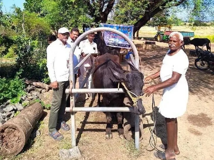 పశు సంపదను కాపాడటమే ప్రభుత్వ ప్రధాన లక్ష్యం