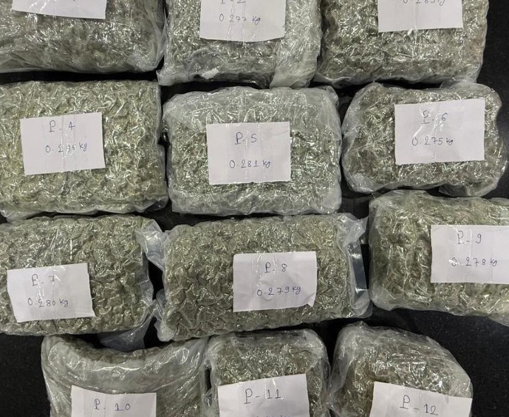 శంషాబాద్‌లో హైడ్రోపోనిక్ గంజాయి పట్టివేత