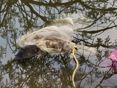 3 రోజుల తర్వాత మృతదేహం లభ్యం