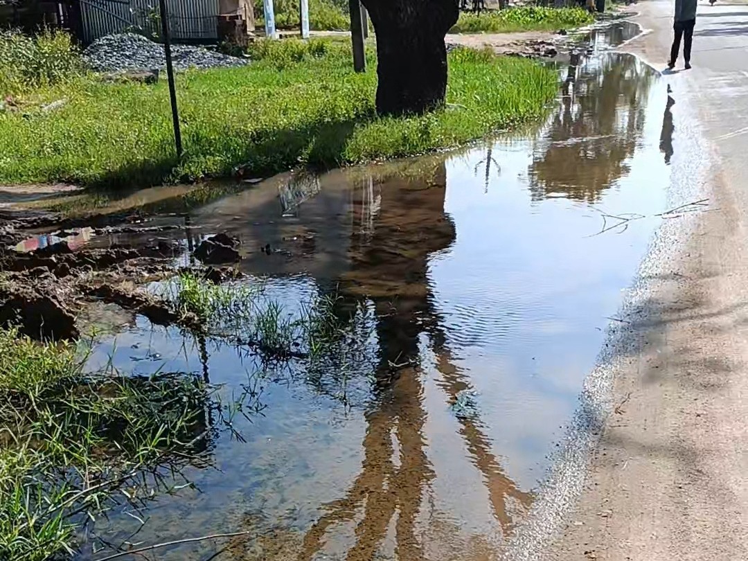 ప్రధాన రహదారిపై దుర్వాసన