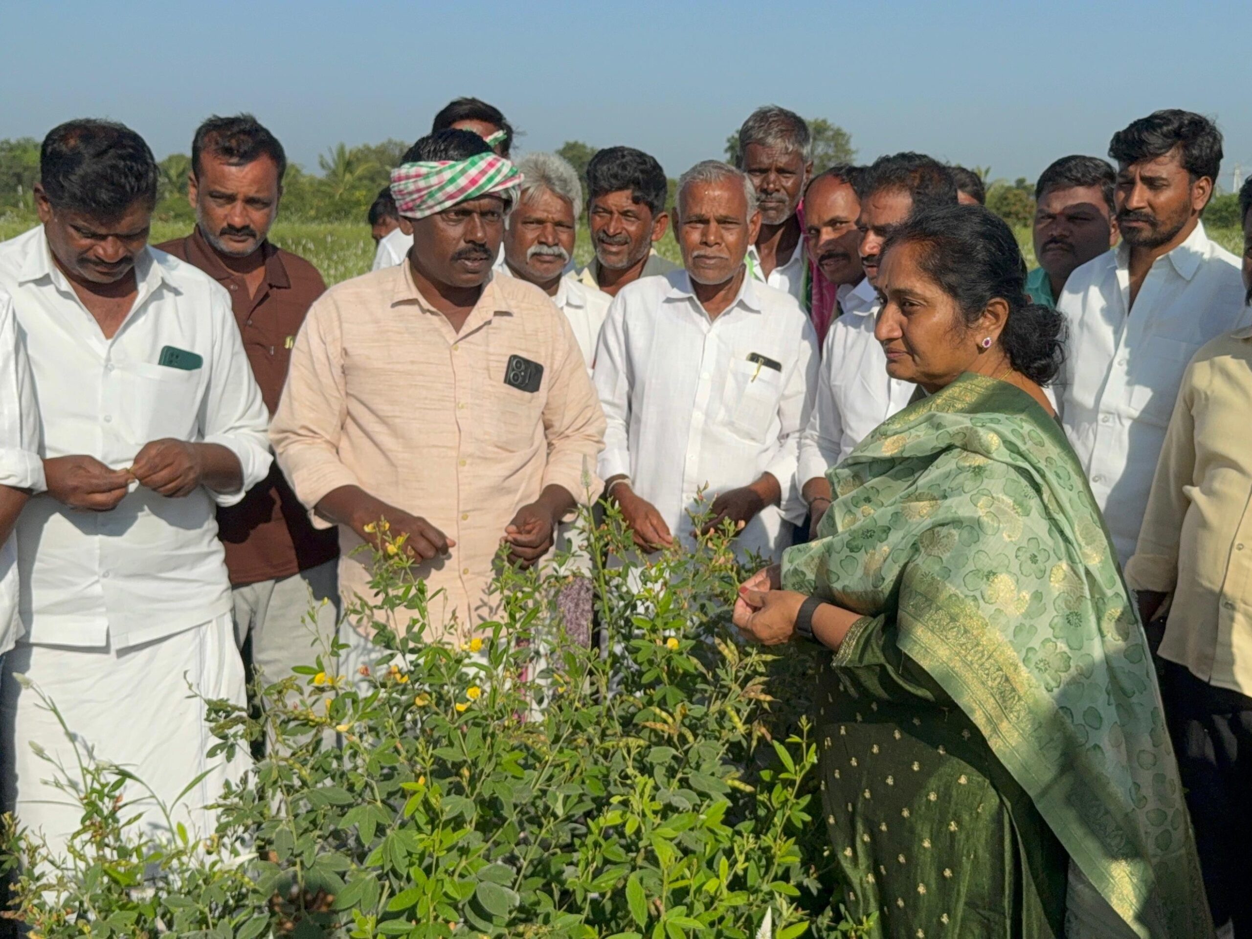 కంది, మొక్క జొన్న పంటలను పరిశీలించిన మంత్రి