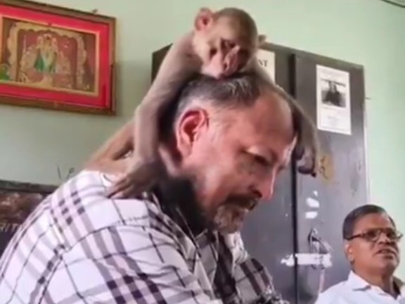 ఏటూరునాగారంలో అద్భుత ఘటన