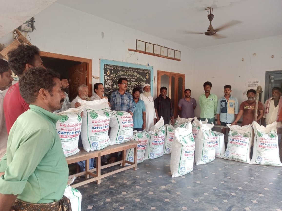 పాడిపశువులకు సబ్సిడీతో పశువుల దాణా పంపిణీ