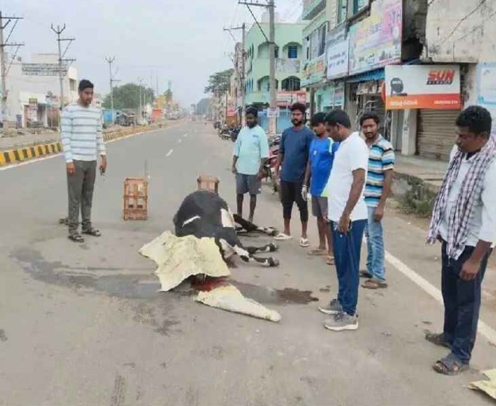 వాహనం ఢీకొని ఆవుమృతి