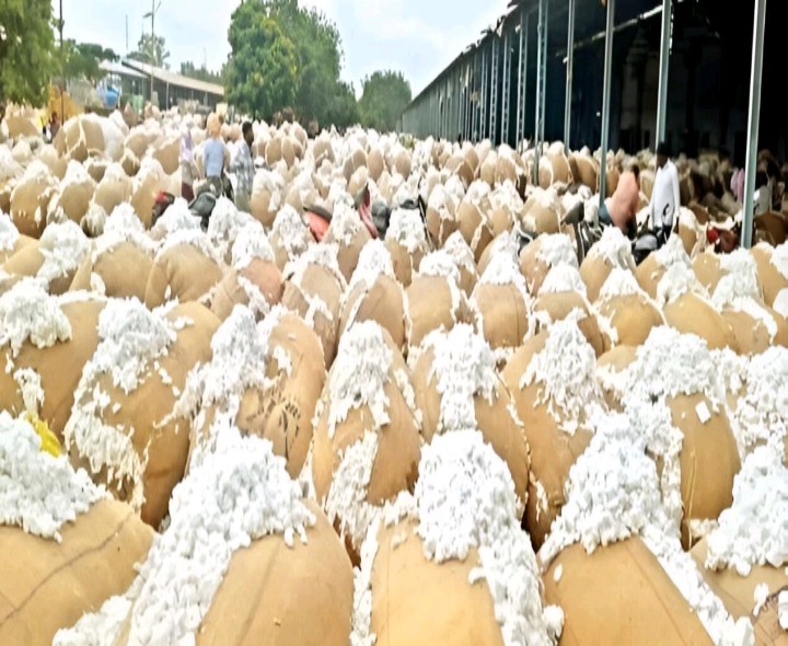 మద్దతు ధర కంటే తక్కువగా పత్తి కొనుగోలు