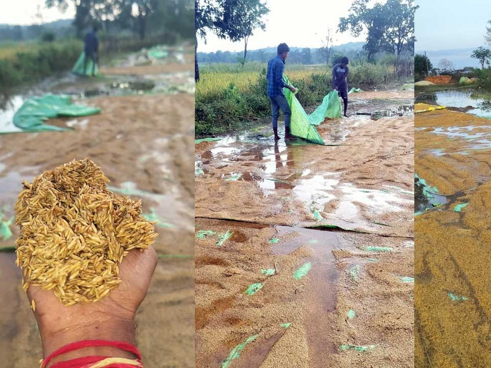 భారీ వర్షం.. కొట్టుకుపోయిన ధాన్యం