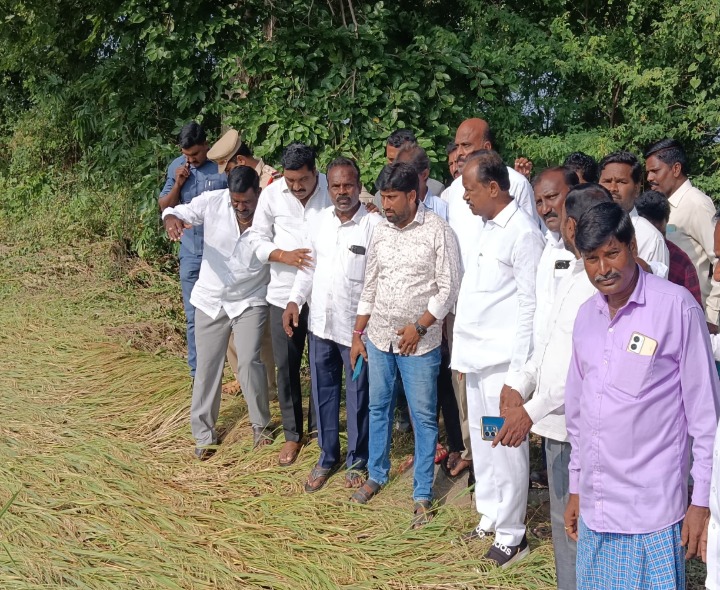 ‘ప్రతి రైతును ప్రభుత్వం ఆదుకుంటుంది’