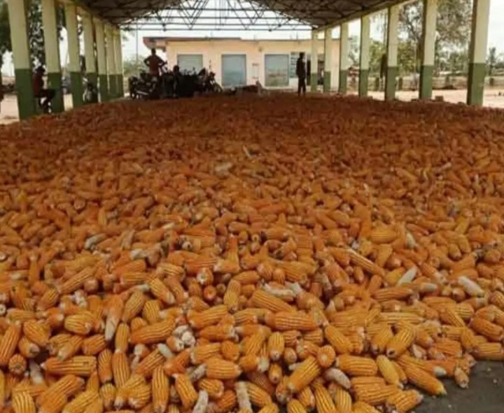 2 రోజులు నర్సంపేట మార్కెట్‌కి సెలవులు