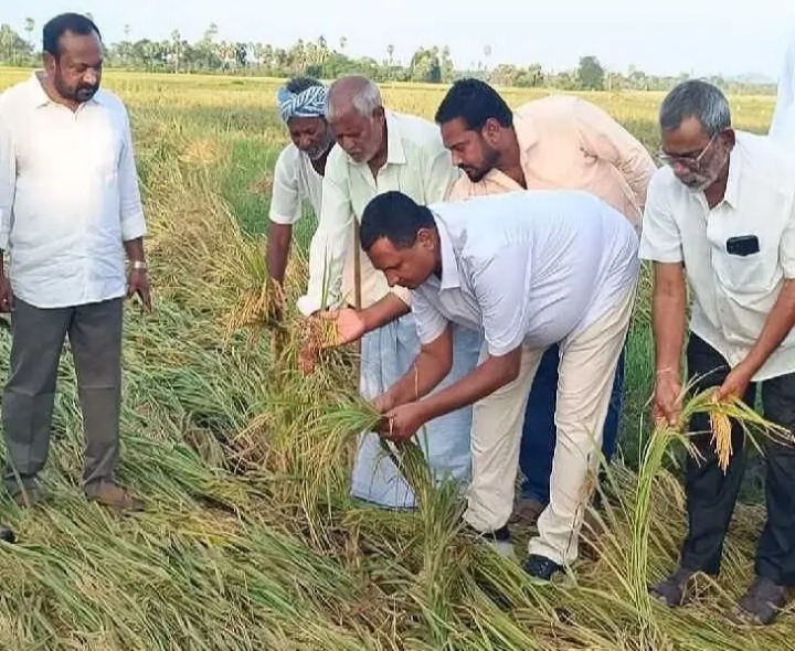ఎకరాకు రూ. 50 వేలు నష్టపరిహారం అందజేయాలి: శ్రీనివాస్