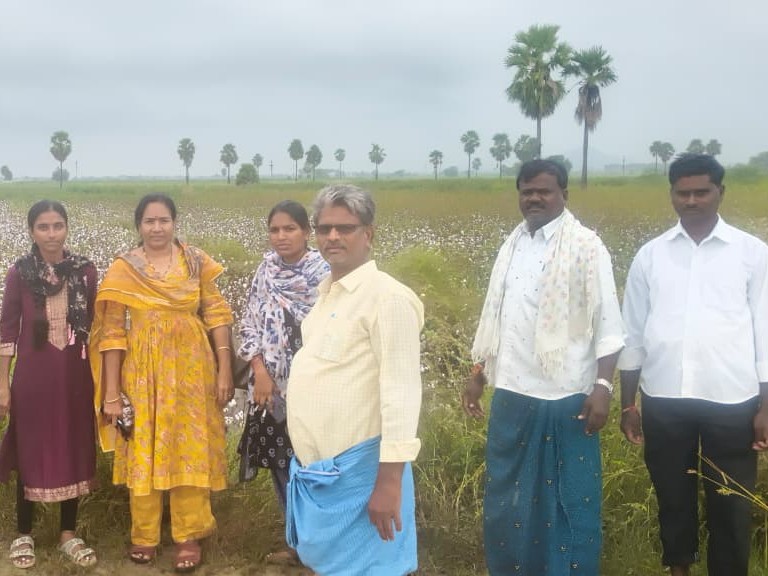 పంట నష్టంపై క్షేత్రస్థాయి పరిశీలన