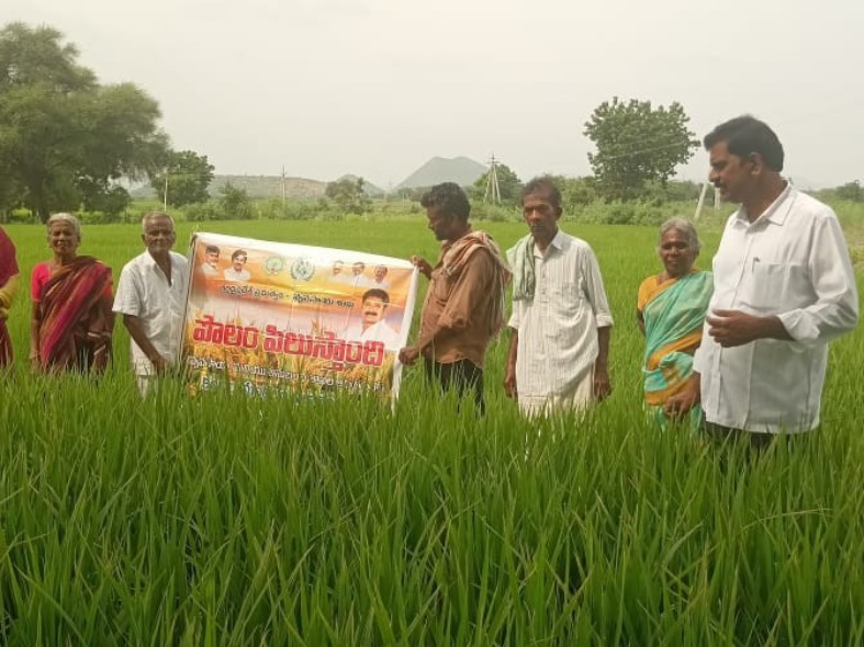 కంభంలో ‘పొలం పిలుస్తుంది’ కార్యక్రమం