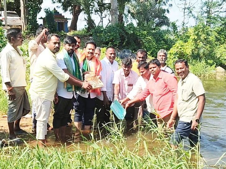 చెరువులో వదిలిన 70 వేల ఉచిత చేప పిల్లలు