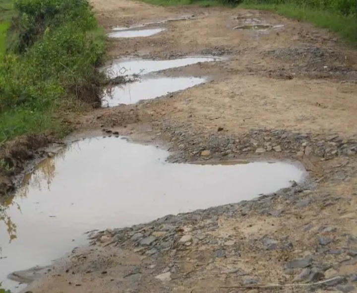 గుంతల మయంగా మారిపోయిన రోడ్డు