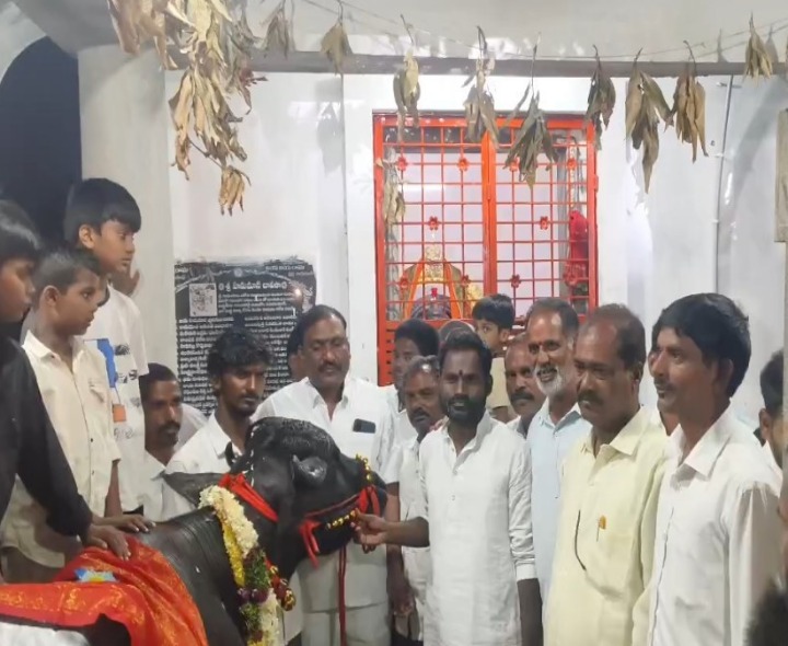 యెనుగొండలో ఘనంగా సదరు ఉత్సవాలు