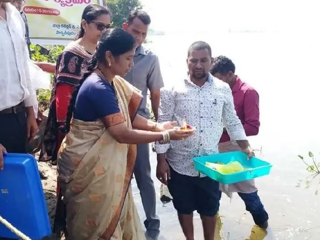 చేప పిల్లలను విడుదల చేసిన ఎమ్మెల్యే