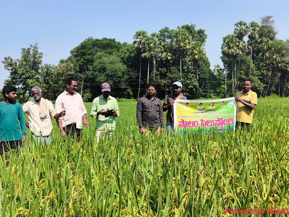 గజపతినగరంలో పొలం పిలుస్తోంది కార్యక్రమం