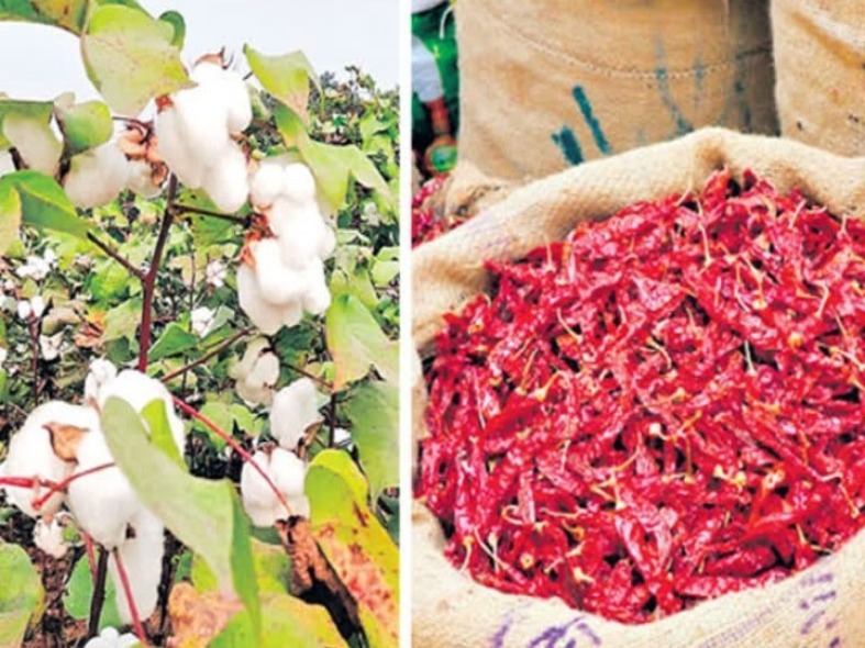 వరంగల్ మార్కెట్‌లో ఉత్పత్తుల ధరల వివరాలు