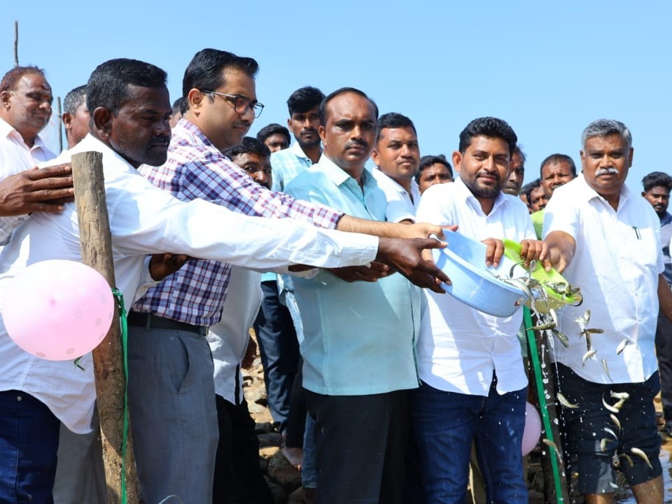 చేపల పెంపకంతో మత్స్యకారుల ఆర్థిక బలోపేతం: కలెక్టర్