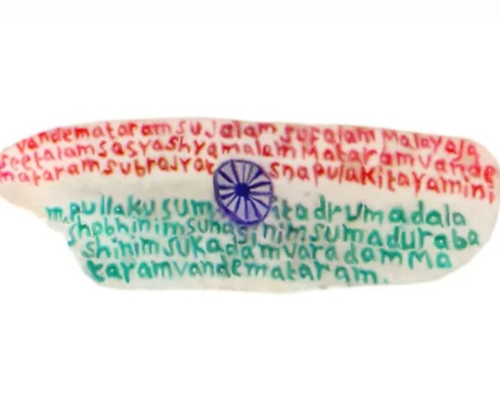 బియ్యపు గింజపై గీతాన్ని రాసి ఔరా అనిపించింది ఆర్టిస్ట్