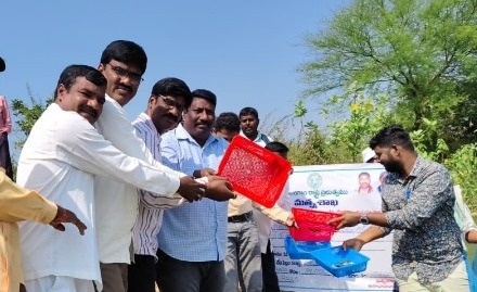 ఉచిత చేప పిల్లల పంపిణీ