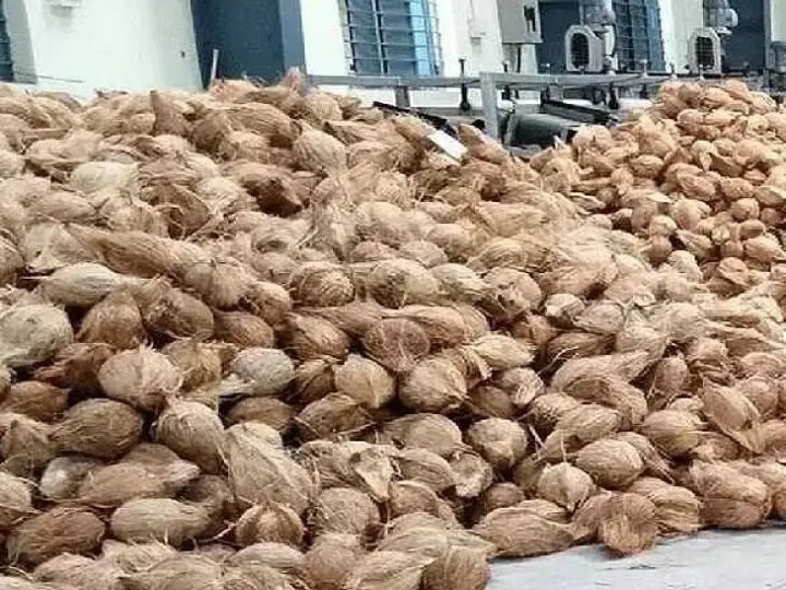 కొబ్బరికాయల వేలం మళ్లీ వాయిదా..!