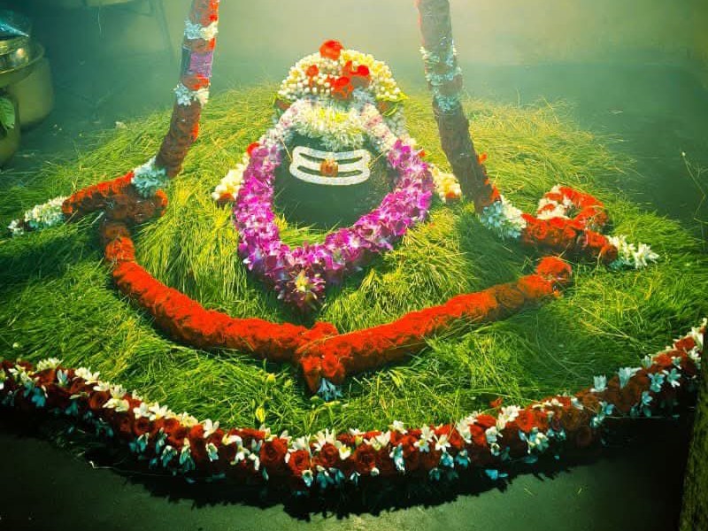 బుగ్గ రామలింగేశ్వరుడికి గరిక అలంకరణ